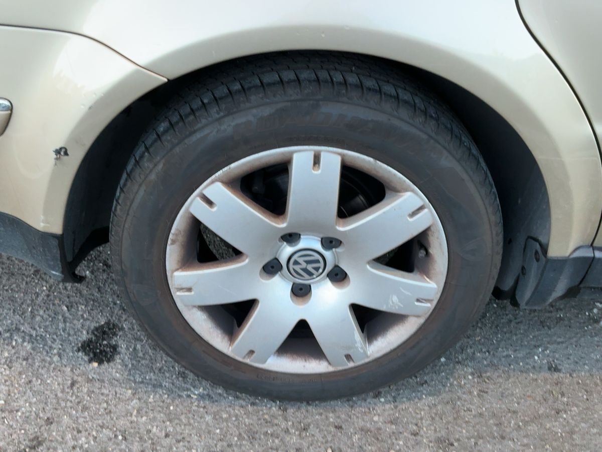 Neumático trasero derecho