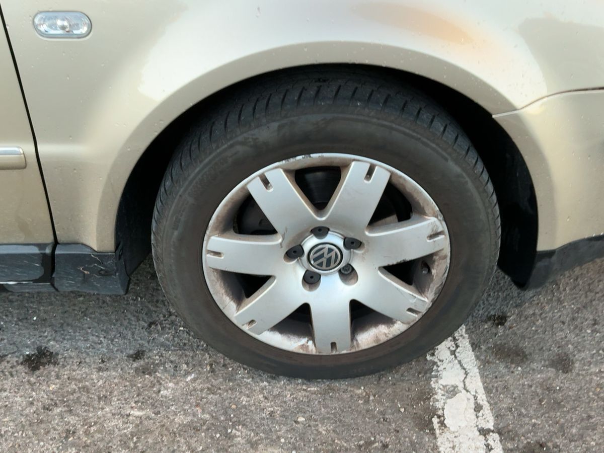 Neumático delantero derecho