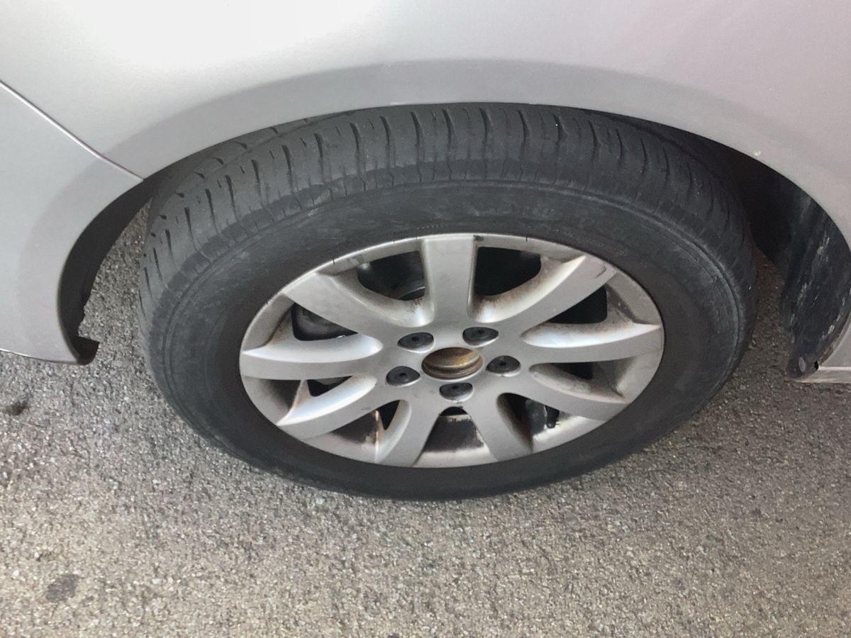 Neumático delantero izquierdo