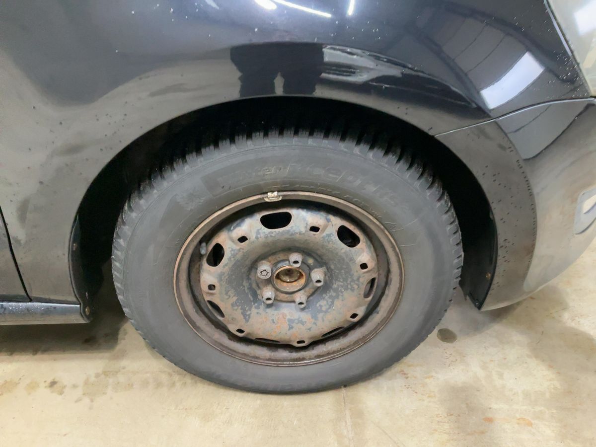 Neumático delantero derecho