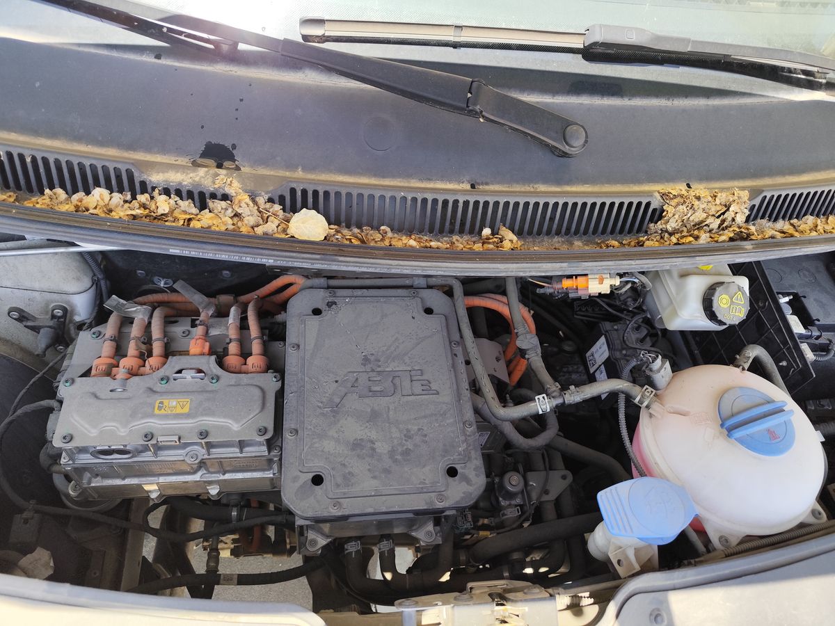 Motor