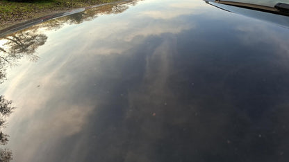 Volkswagen Tiguan 1.4 TSI Cup Sport&Style BiXe Climatr SHZ  142658173 17