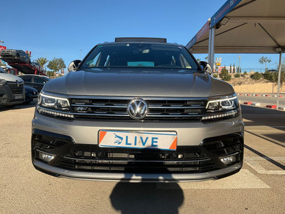 Frontal