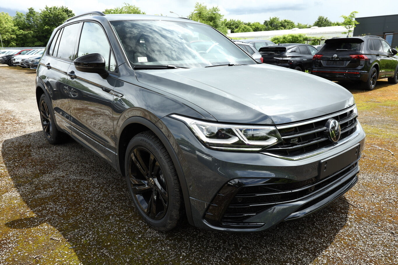 Volkswagen Tiguan 1.5 TSI 150 DSG R-Line NavPro Pano H/K  105327439 1