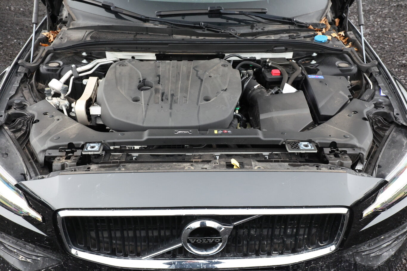 Volvo V 60 B3 163 DCT7 Momentum Pro LED Nav Harm-K Kam 103503603 9